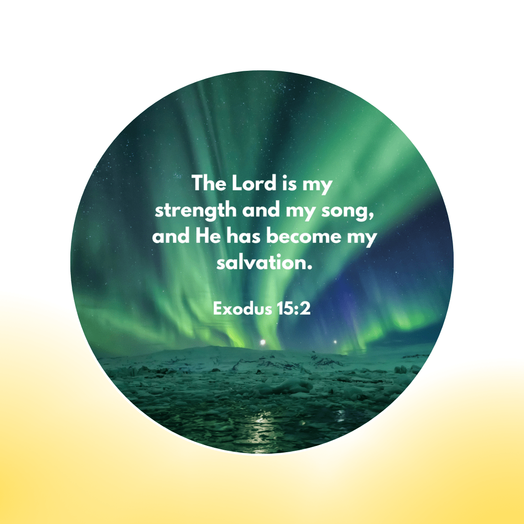 Bible Verse Projector (6 Free Scripture Discs Included)